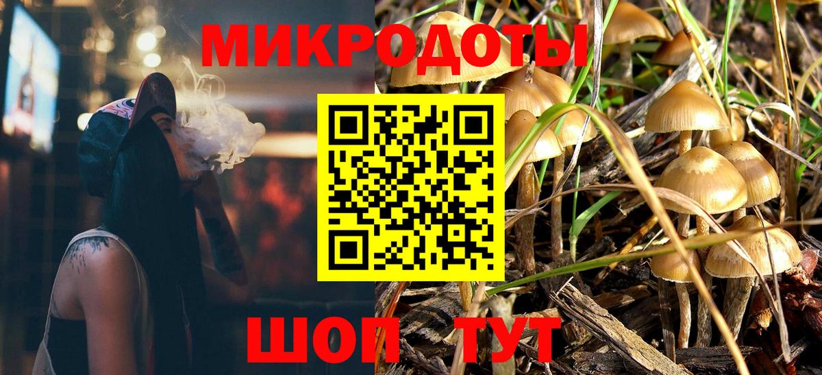 Галлюциногенные грибы Psilocybine cubensis Фролово